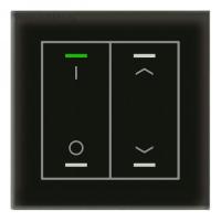 MDT BE-GTL2TS.D1 Выключатель сенсорный стекло II Lite